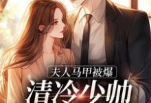 《夫人马甲被爆,清冷少帅宠妻无度!》小说大结局免费试读 沈听晚陆沉霄小说-推书帮