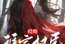 赵凛小说免费阅读完整版-推书帮