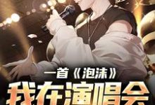 一首《泡沫》,我在演唱会红过歌星完整版小说,一首《泡沫》,我在演唱会红过歌星免费阅读-推书帮