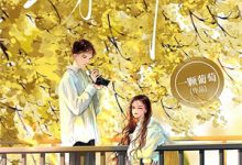 相爱五年苦练七十二变，才发现婚姻路上有八十一难小说，相爱五年苦练七十二变，才发现婚姻路上有八十一难免费阅读-推书帮