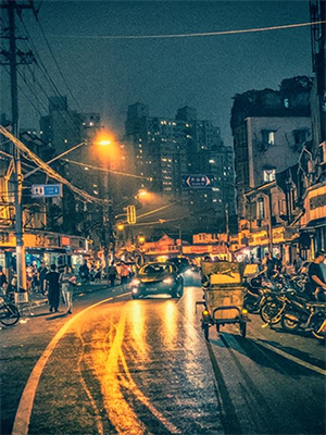 《往事藏匿枯鱼之肆》小说大结局免费试读 童昭 谢闻舟小说