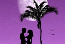 完结版《穿越七零：超市物资救我狗命！》在线免费阅读-推书帮